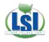 LSI